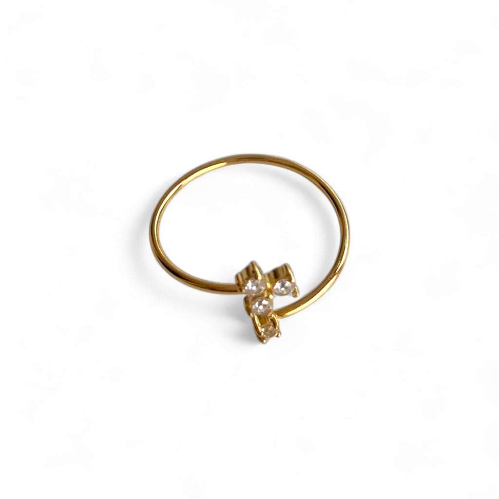 The Eira Ring